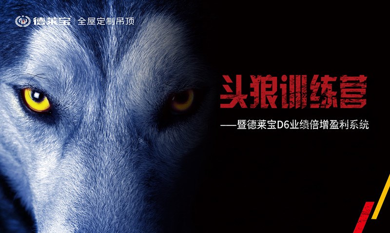 【頭狼訓(xùn)練營】德萊寶商學(xué)院第22期培訓(xùn)會(huì)，圓滿落幕！