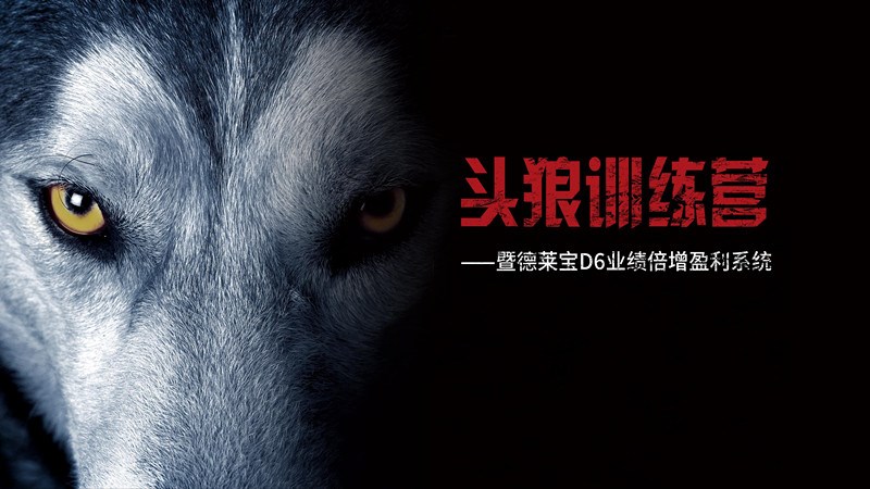 德萊寶第25期頭狼訓(xùn)練營(yíng)火熱開營(yíng)！